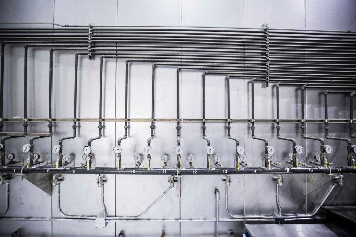 Process instrumentation piping with pressure gauges on a plant wall